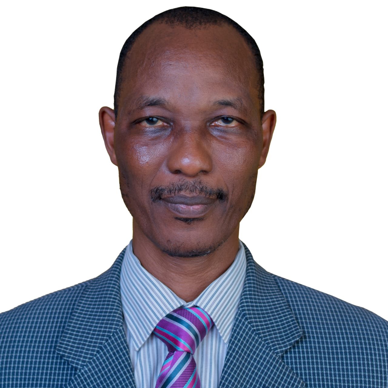 Tunde J. Ajayi, Author